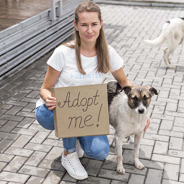 Geheimtipp Gründüngung: Dörthe Priesmeier berichtet, wie der Boden natürlich aufgewertet werden kann